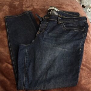 Torrid Indigo Straight Leg Jeans 20R